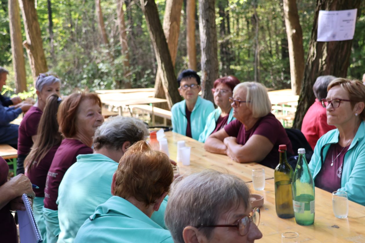 Kestenijada na Plešivici