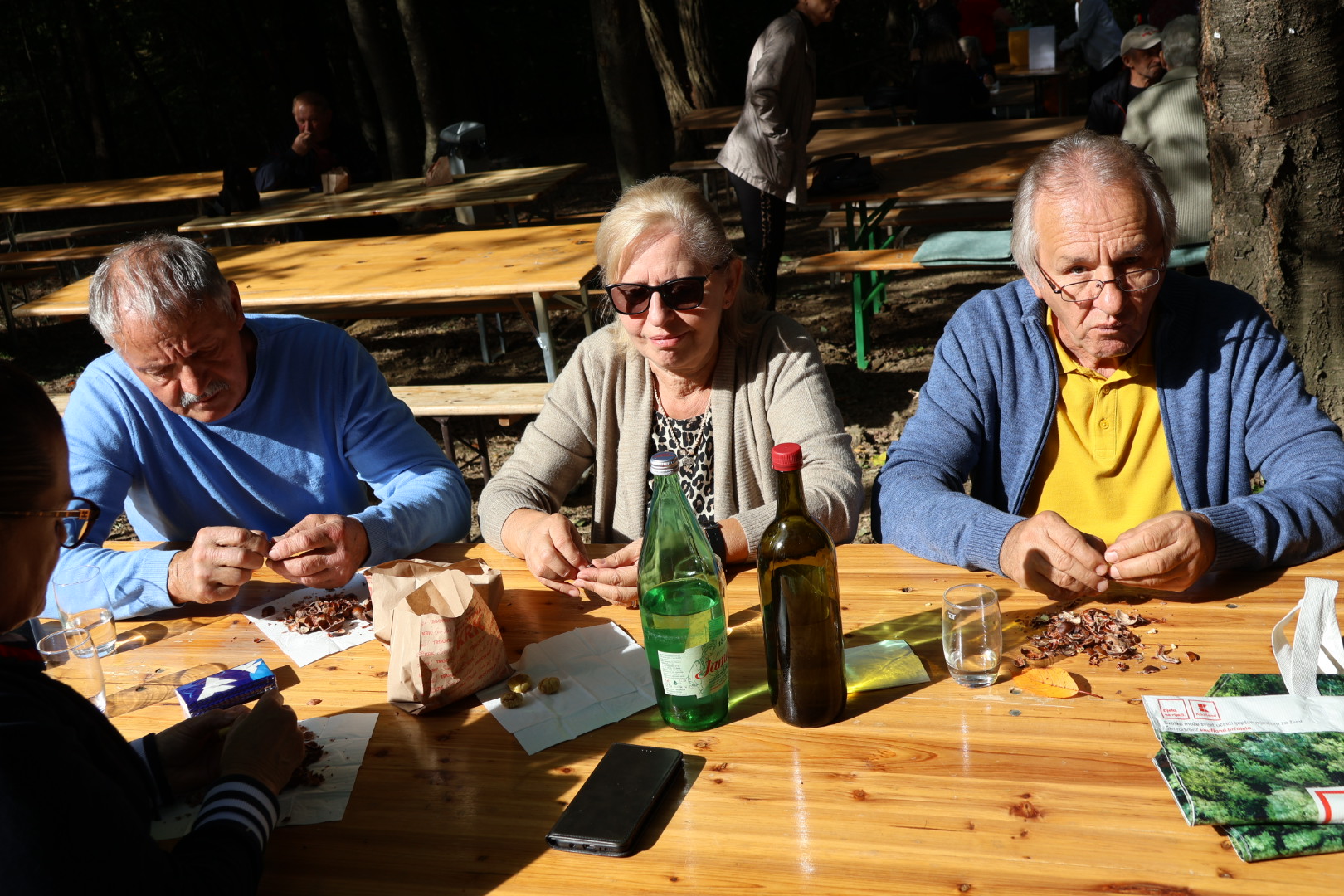 Kestenijada na Plešivici