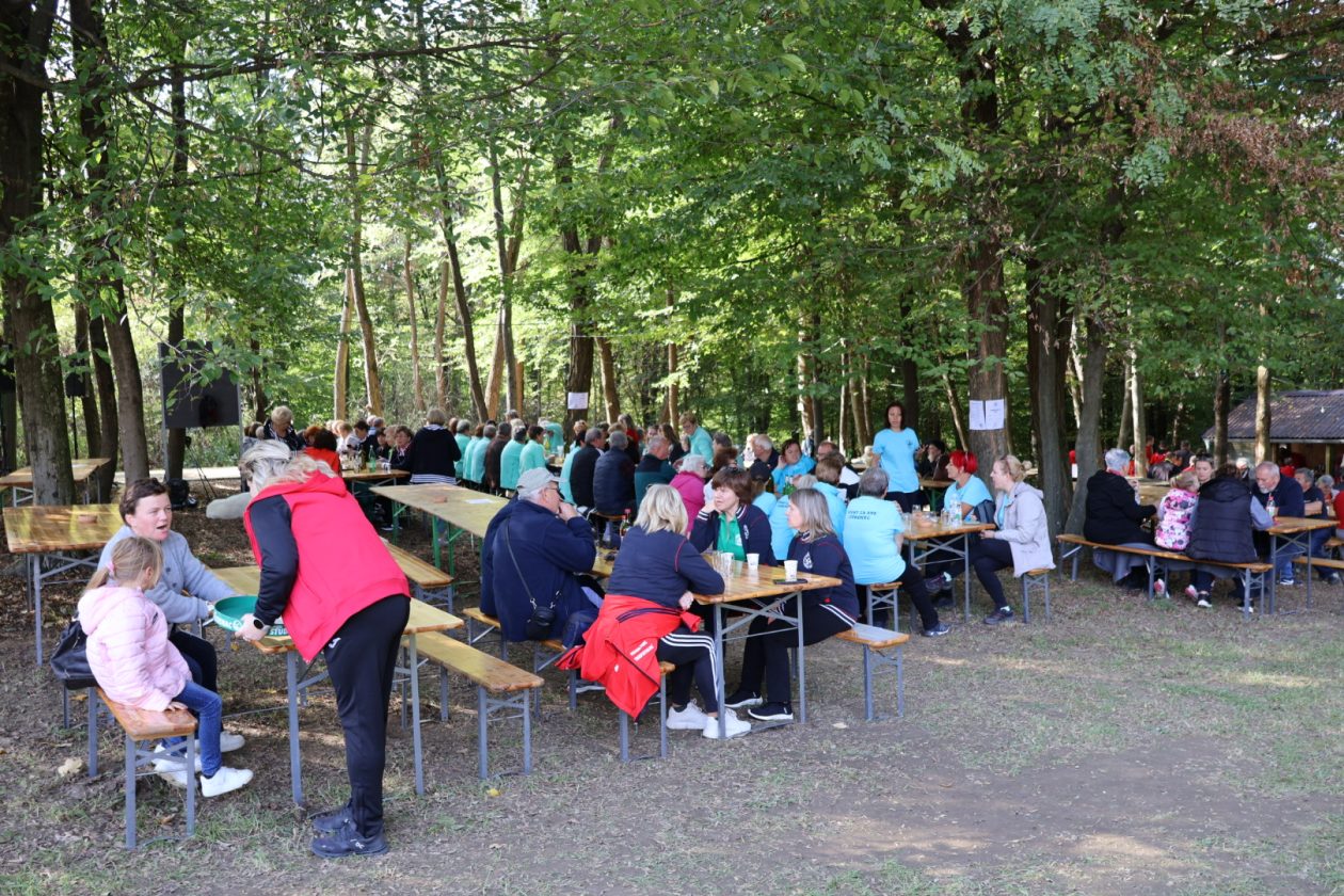 Kestenijada na Plešivici