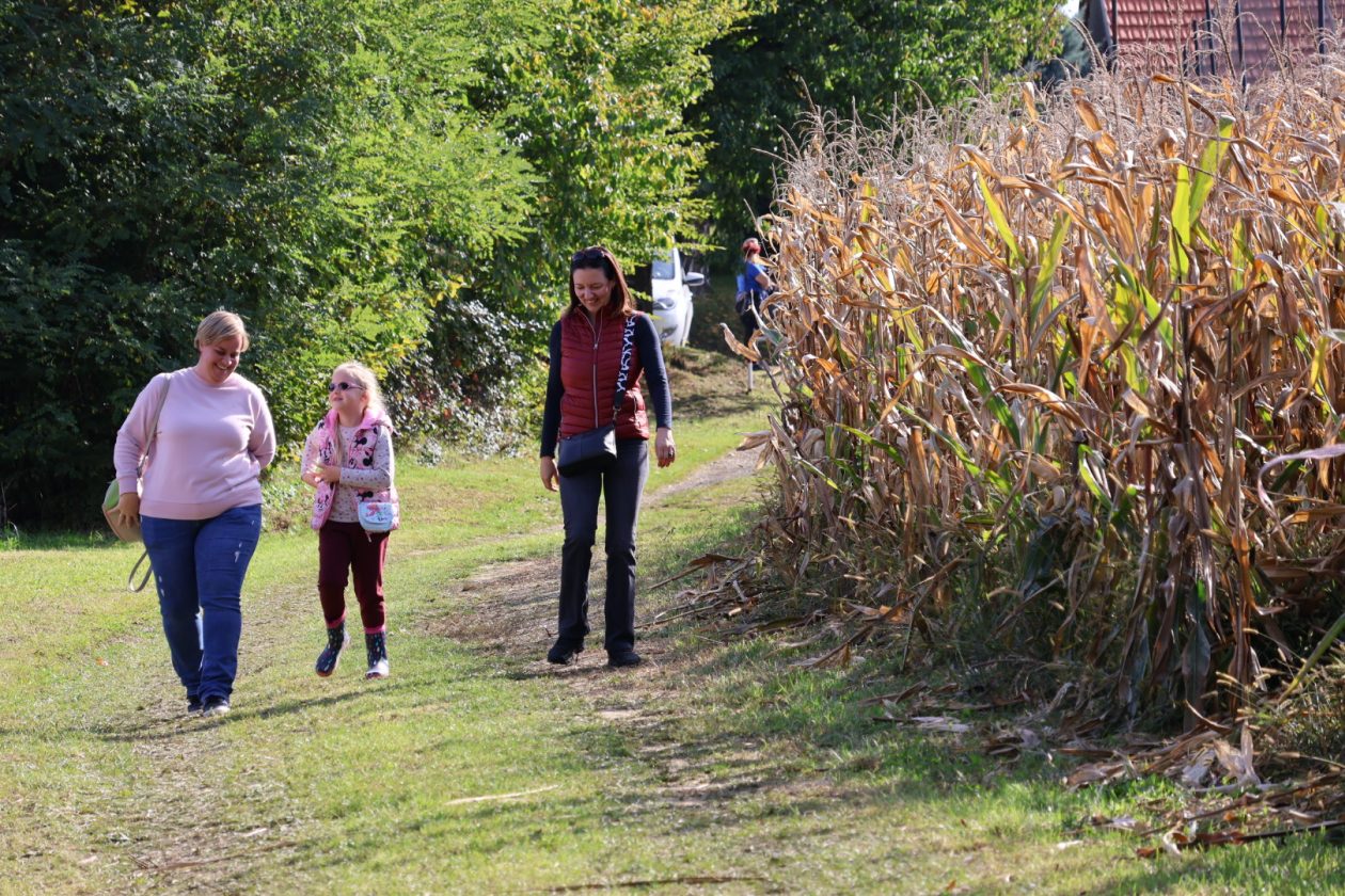 Kestenijada na Plešivici