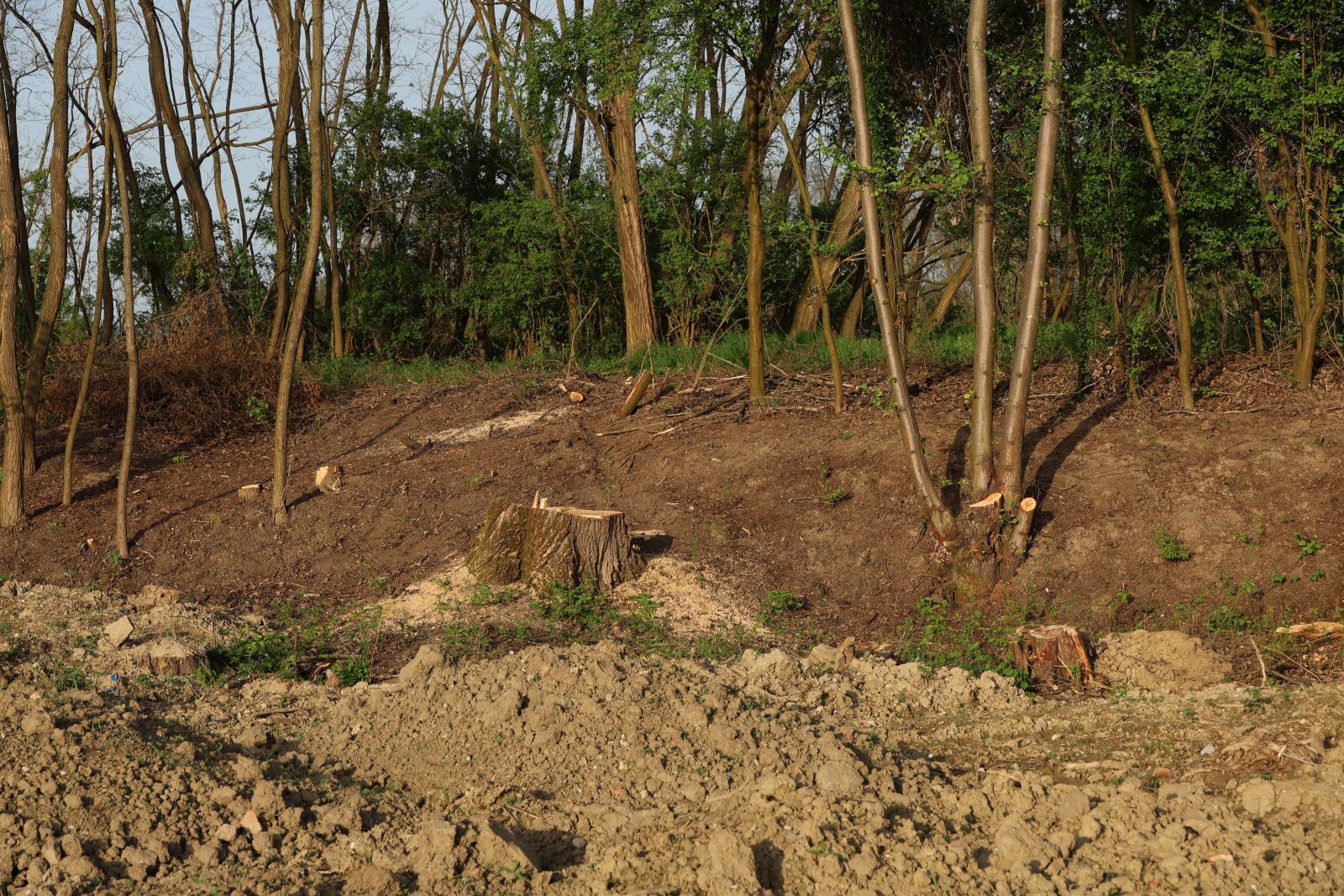 ŠRD Smuđ ŠRD Smuđ