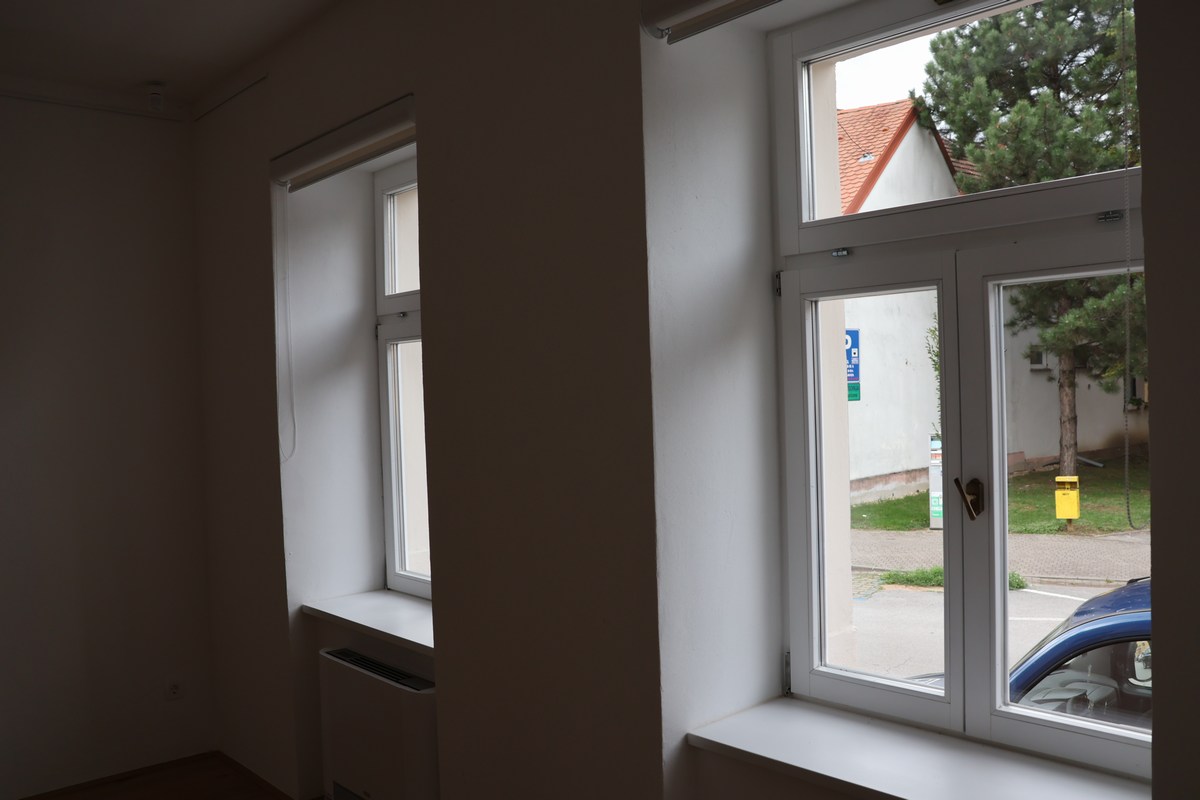 Ladislav Kralj obnova