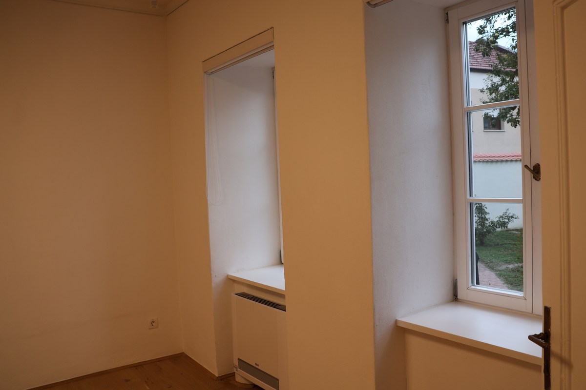 Ladislav Kralj obnova