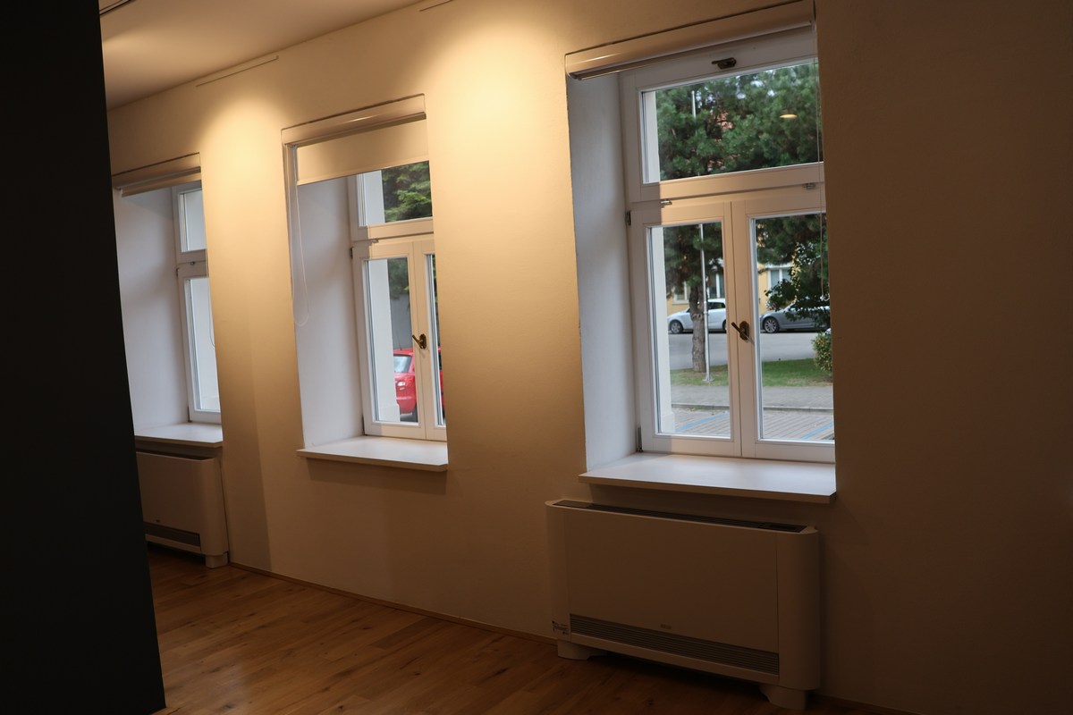 Ladislav Kralj obnova