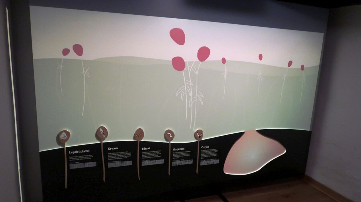 OŠ Sveti Juraj na Bregu Frkanovec OŠ Sveti Juraj na Bregu Frkanovec