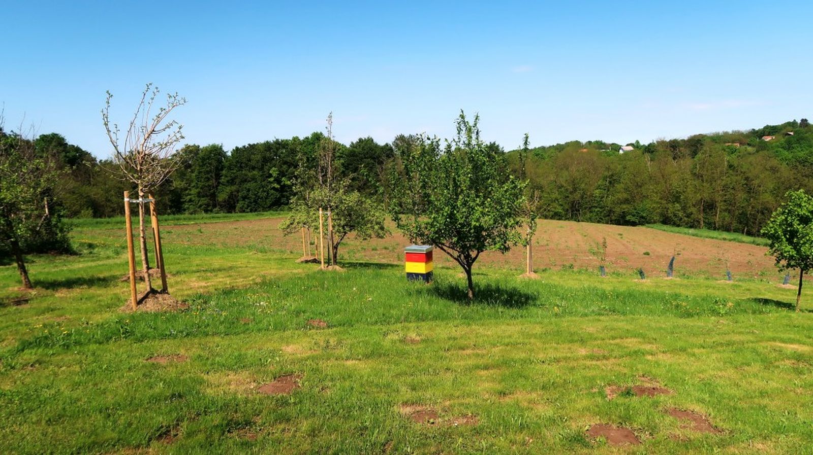 OŠ Sveti Juraj na Bregu Frkanovec