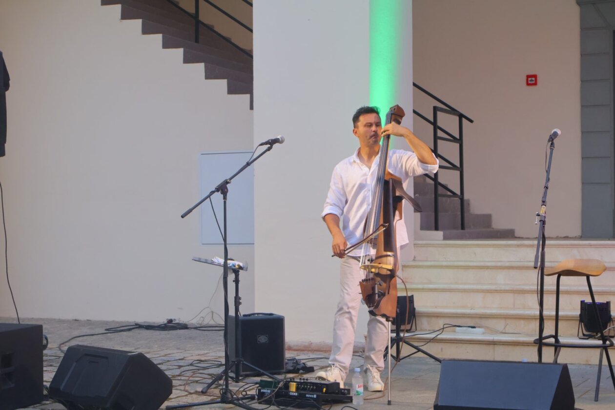 zrin festival zrin festival