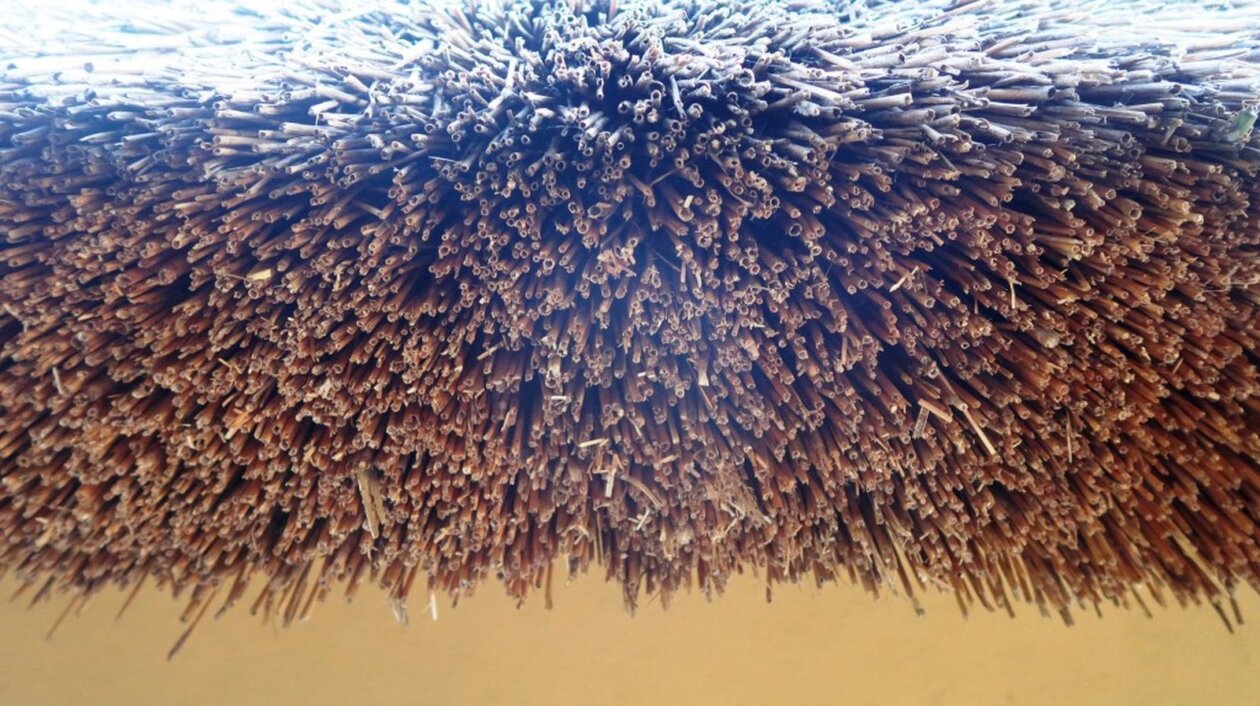 OŠ Sveti Juraj na Bregu Frkanovec OŠ Sveti Juraj na Bregu Frkanovec