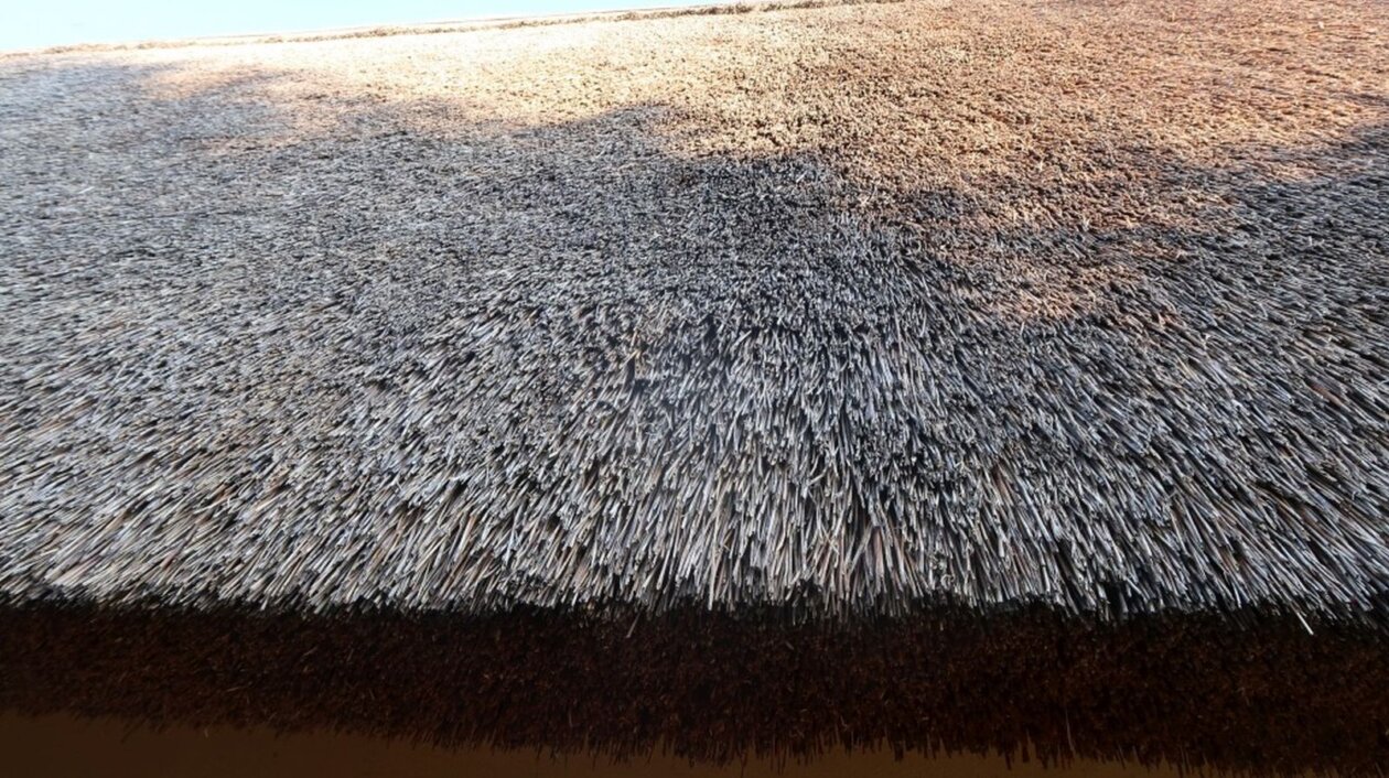 OŠ Sveti Juraj na Bregu Frkanovec OŠ Sveti Juraj na Bregu Frkanovec