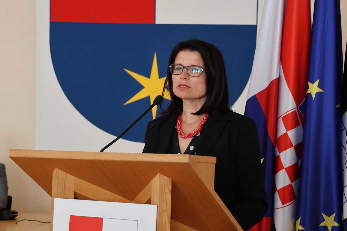 Županijska skupština