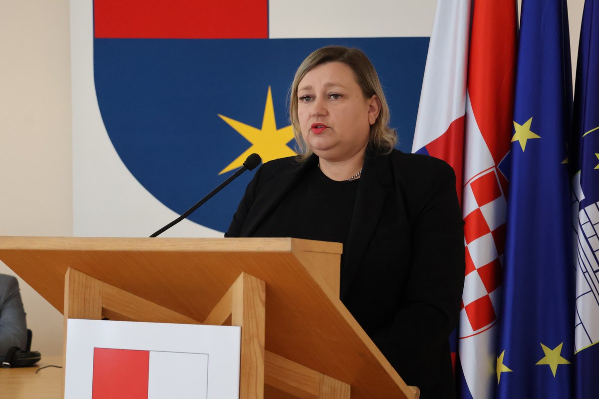 Županijska skupština