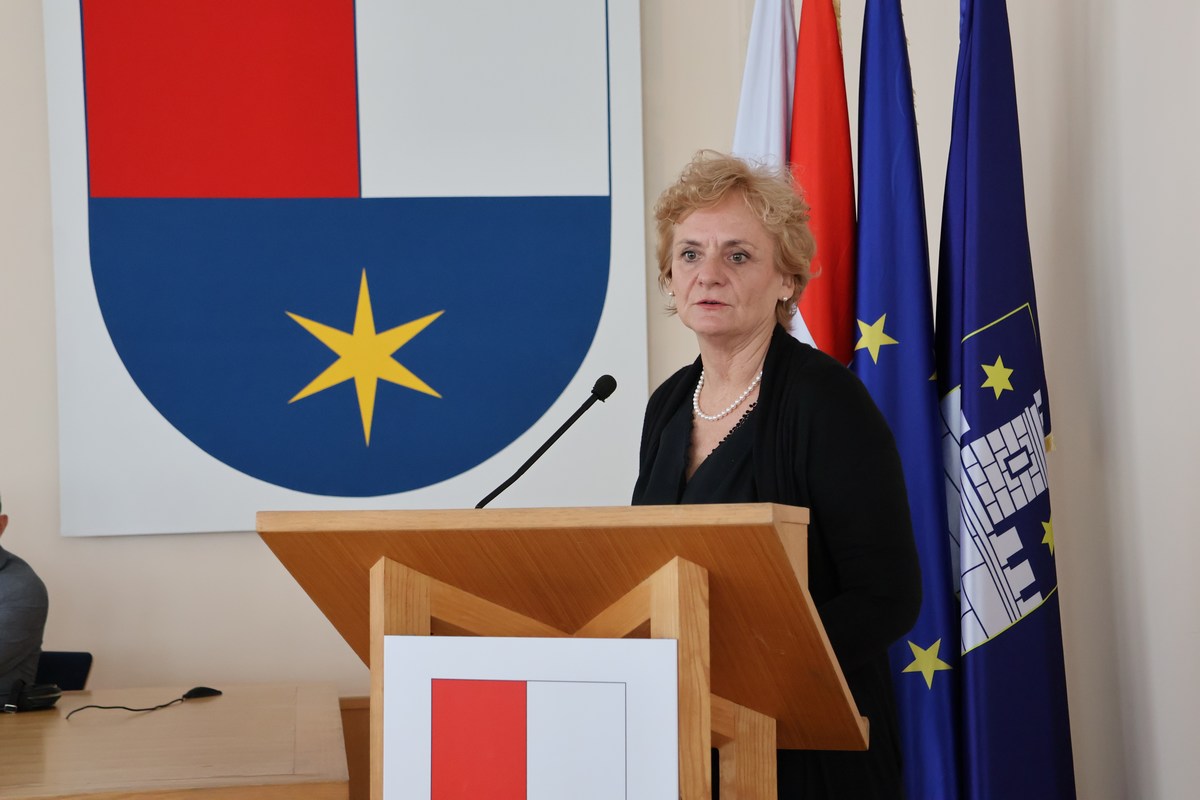 Županijska skupština