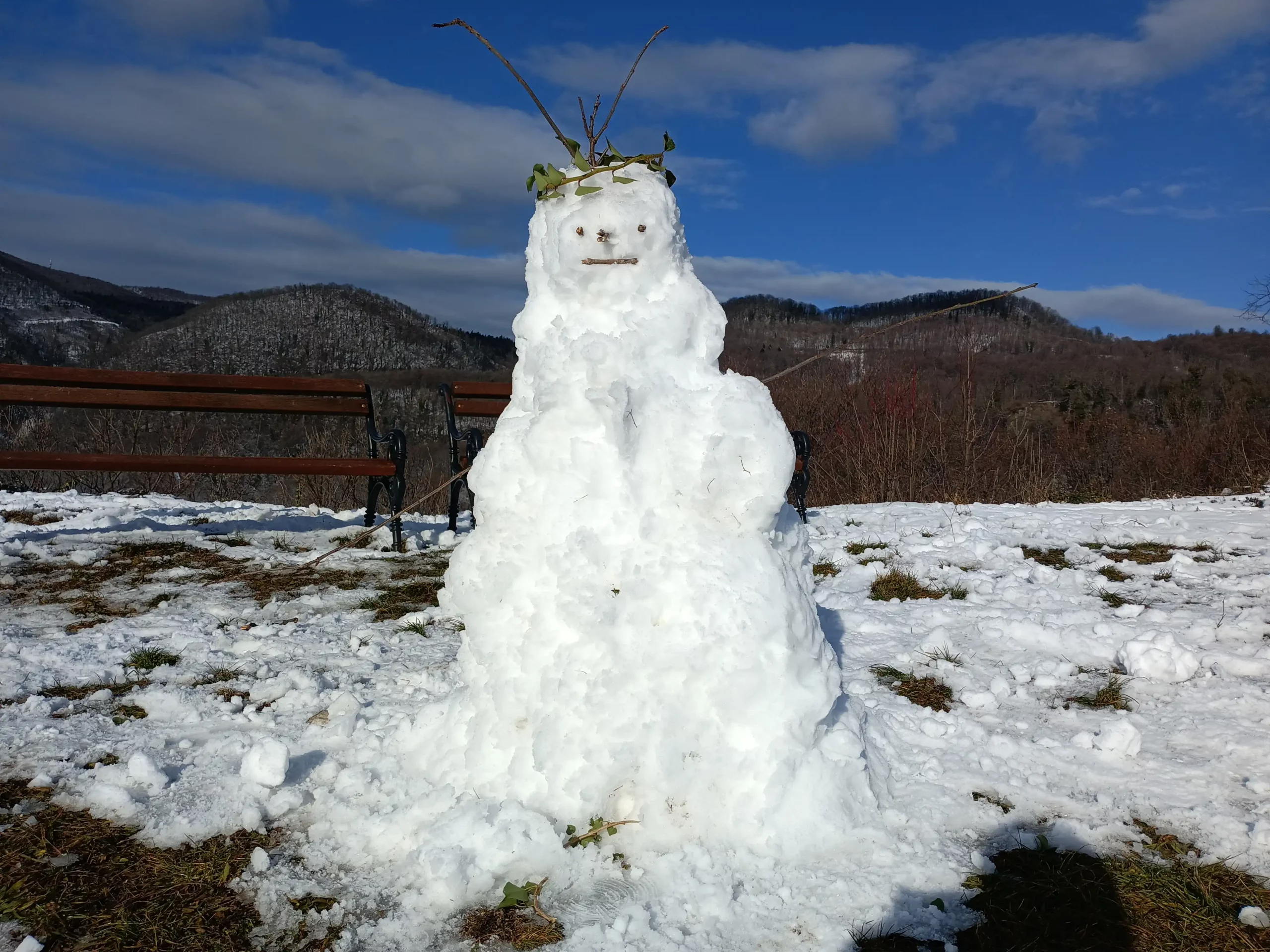 IMG_20250112_111046_088