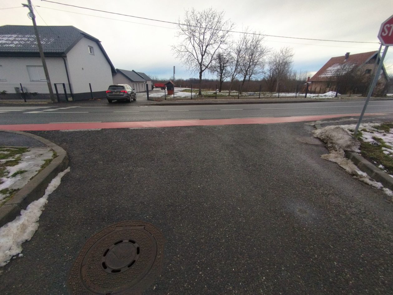 Žiškovec križanje opasnost