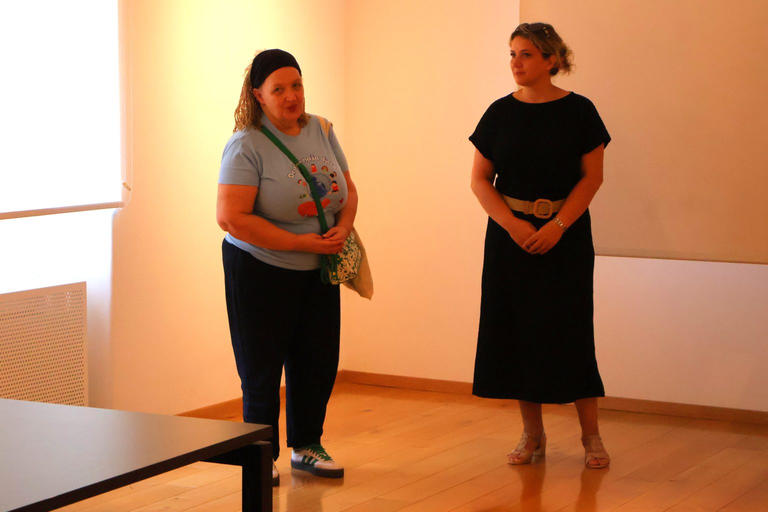 Dječje Gradsko vijeće Čakovca