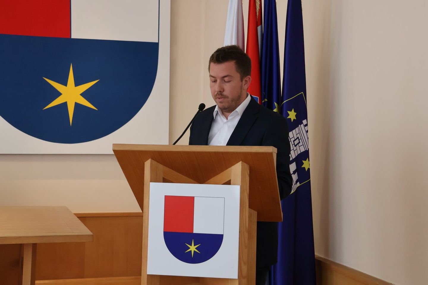 Perica Hajdarović 2