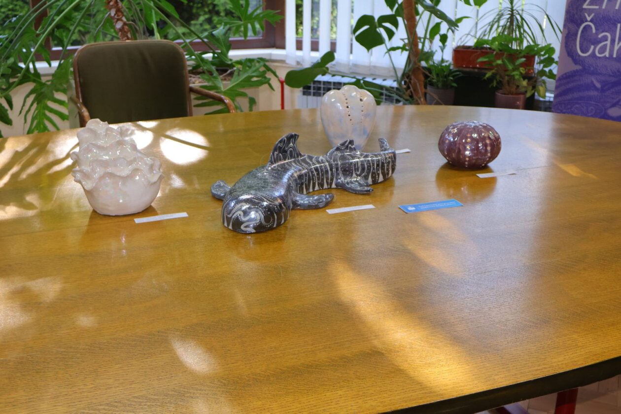 umjetnost među knjigama