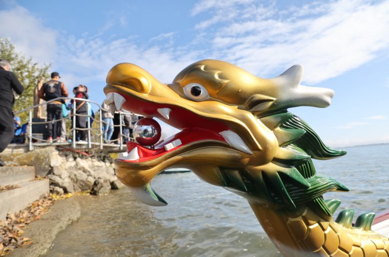 Dragon boat kup 2025