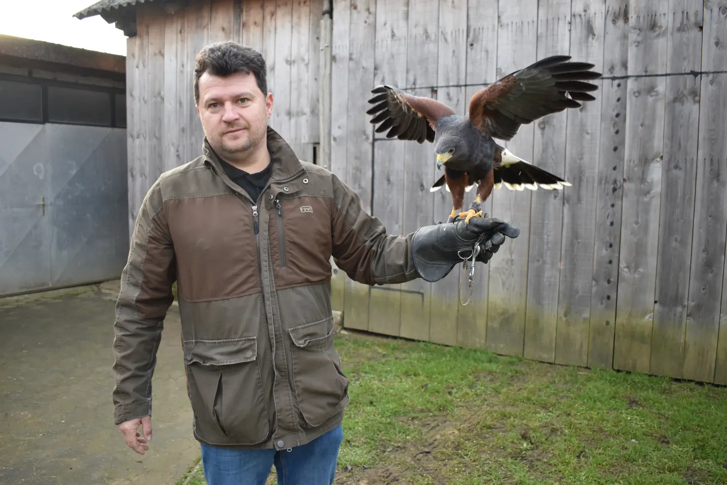 IVICA PINTARIĆ, GOLUB GUŠAN (3) IVICA PINTARIĆ, GOLUB GUŠAN (3)