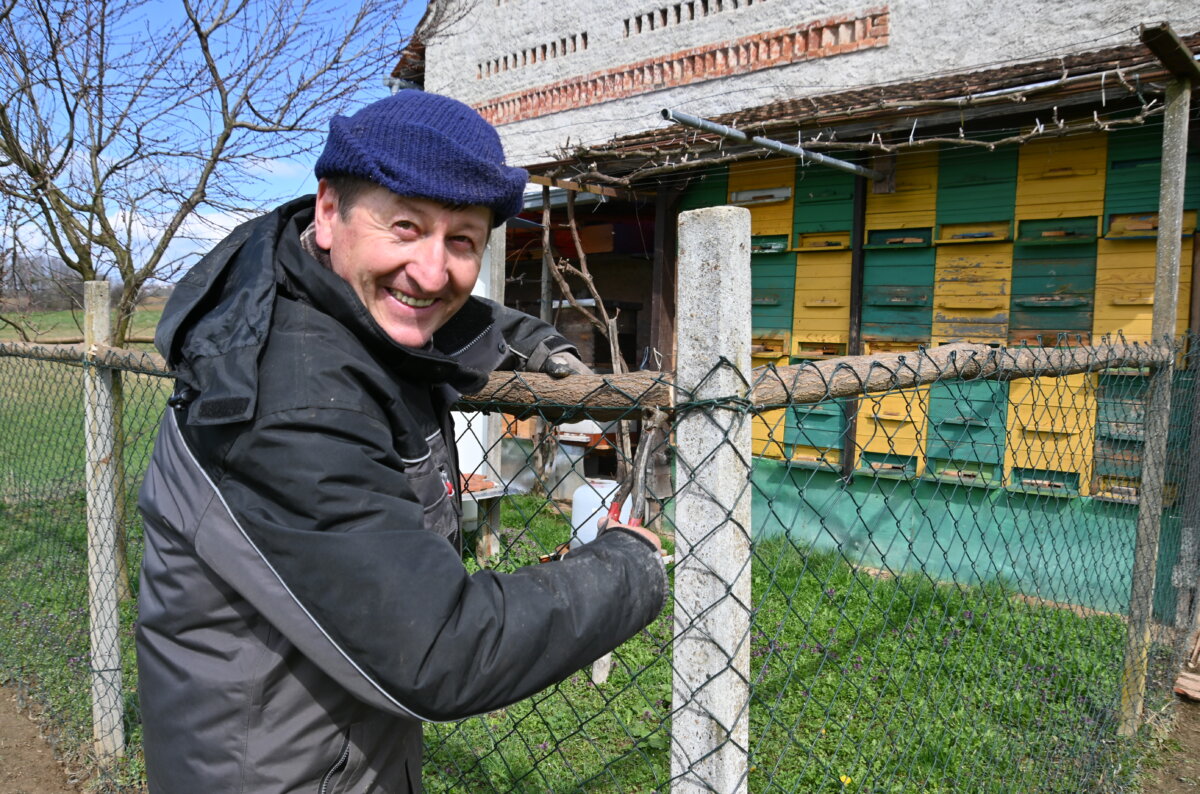IVograda1