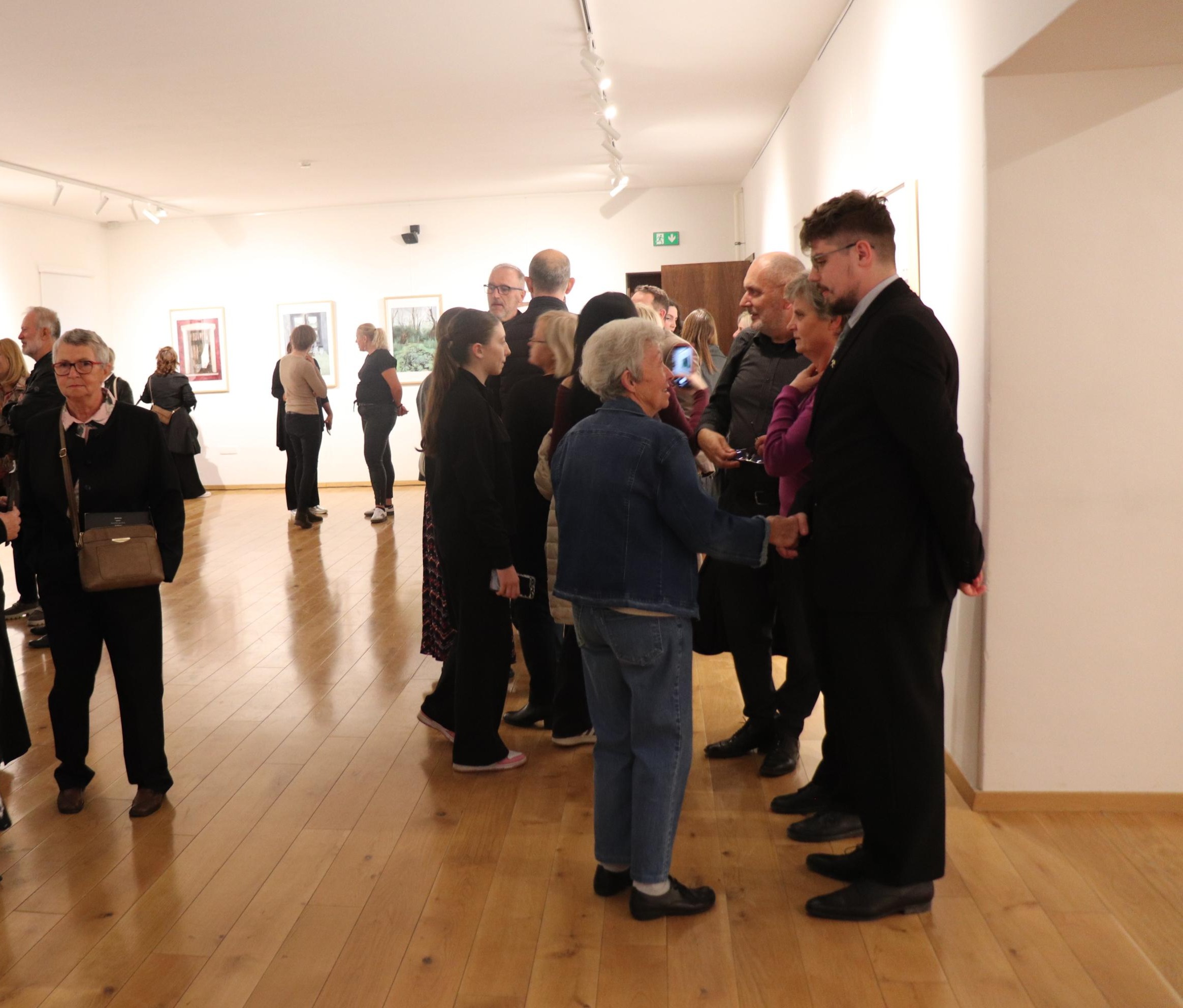 IZLOZBA LUCIJA SUBIC (11)