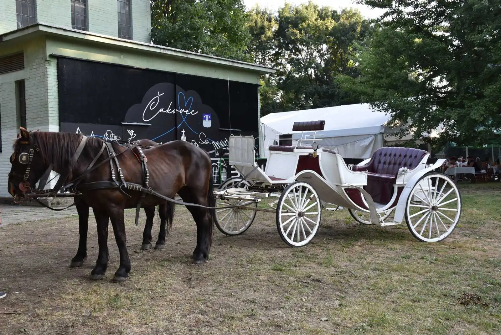 Ilustracija Čakovca- Udruga umirovljenika (3)