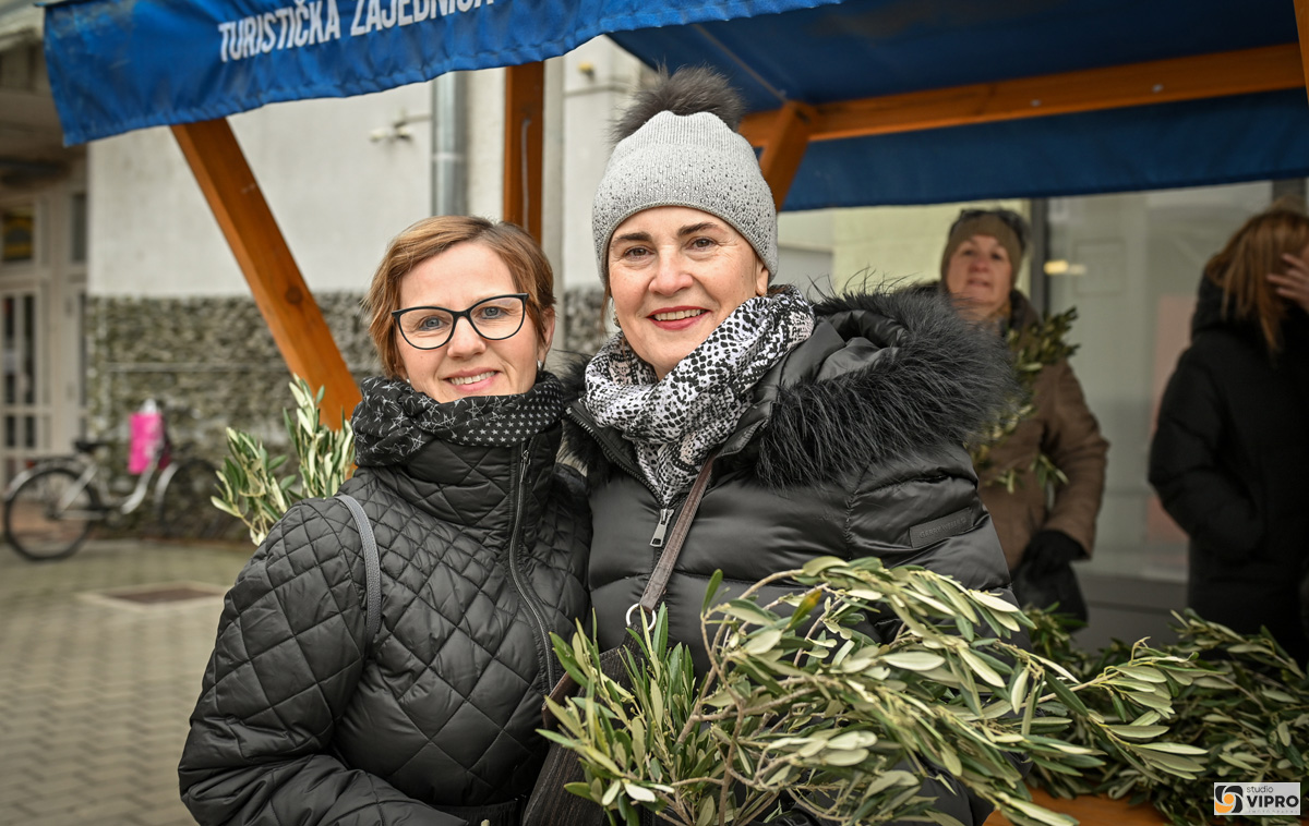 studio VIPRO studio VIPRO