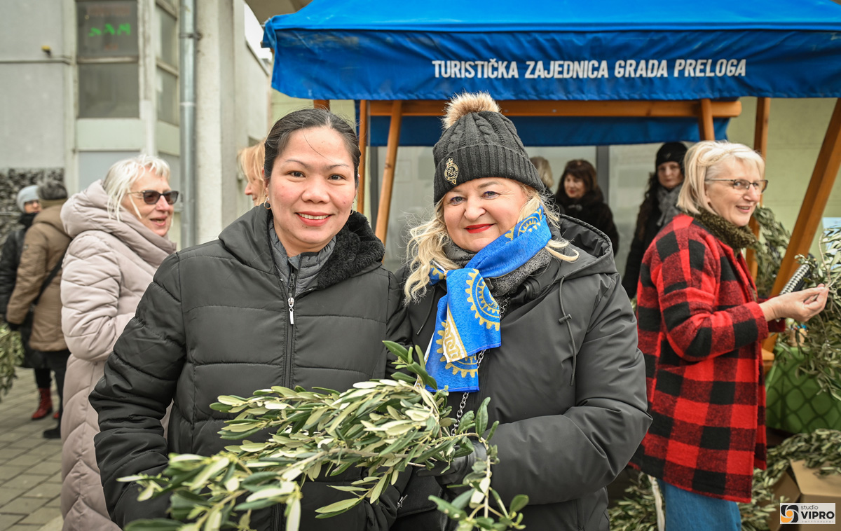 studio VIPRO studio VIPRO