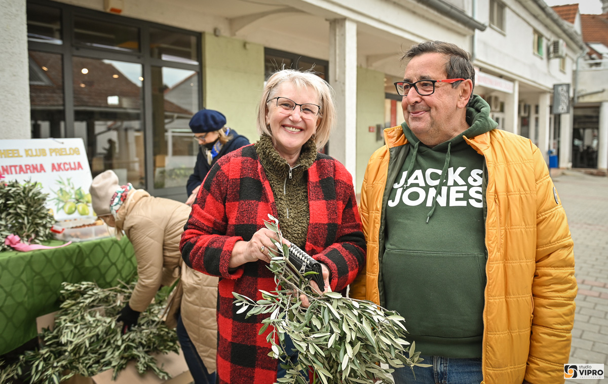 studio VIPRO studio VIPRO