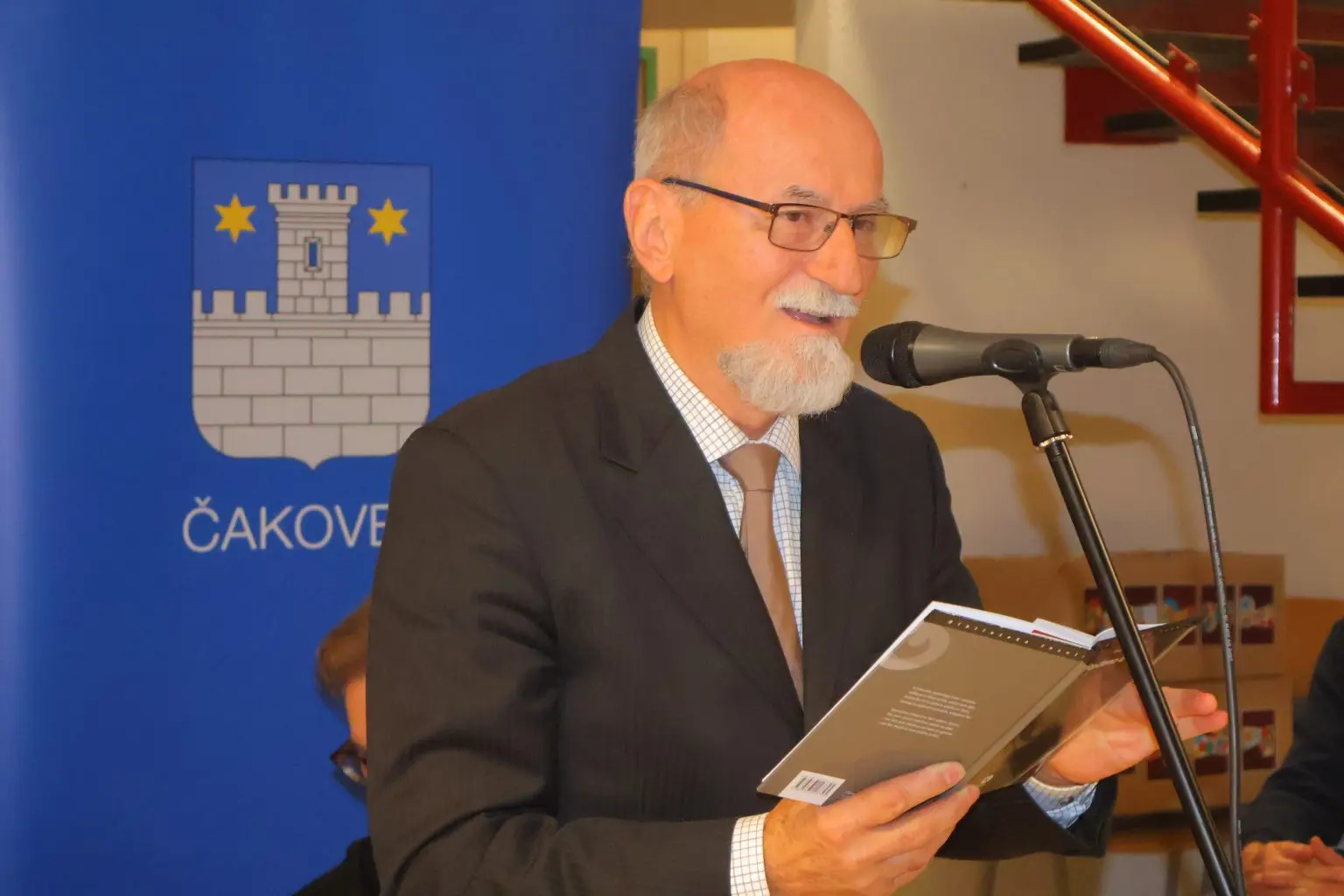 Insula (2) ivan pranjić