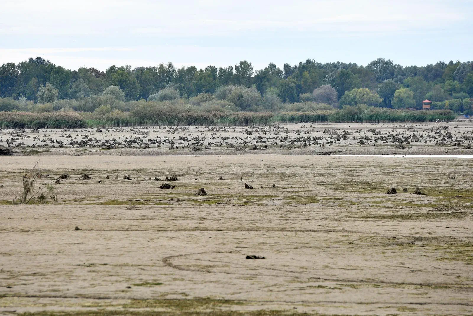 Ispražnjeno najveće umjetno jezero u Hrvatskoj (6)