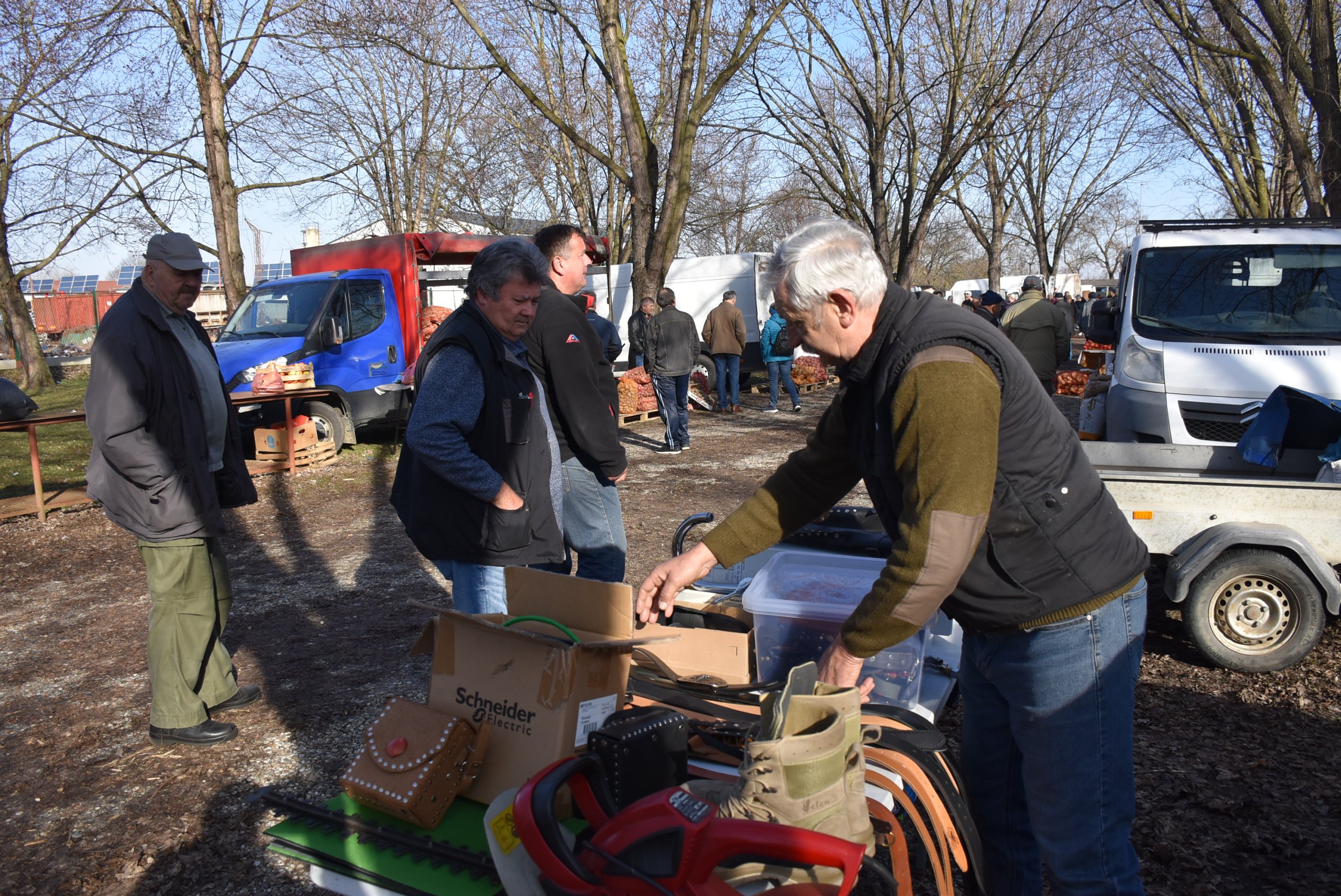 Ivan Dobranić, Novo Selo Rok (12)