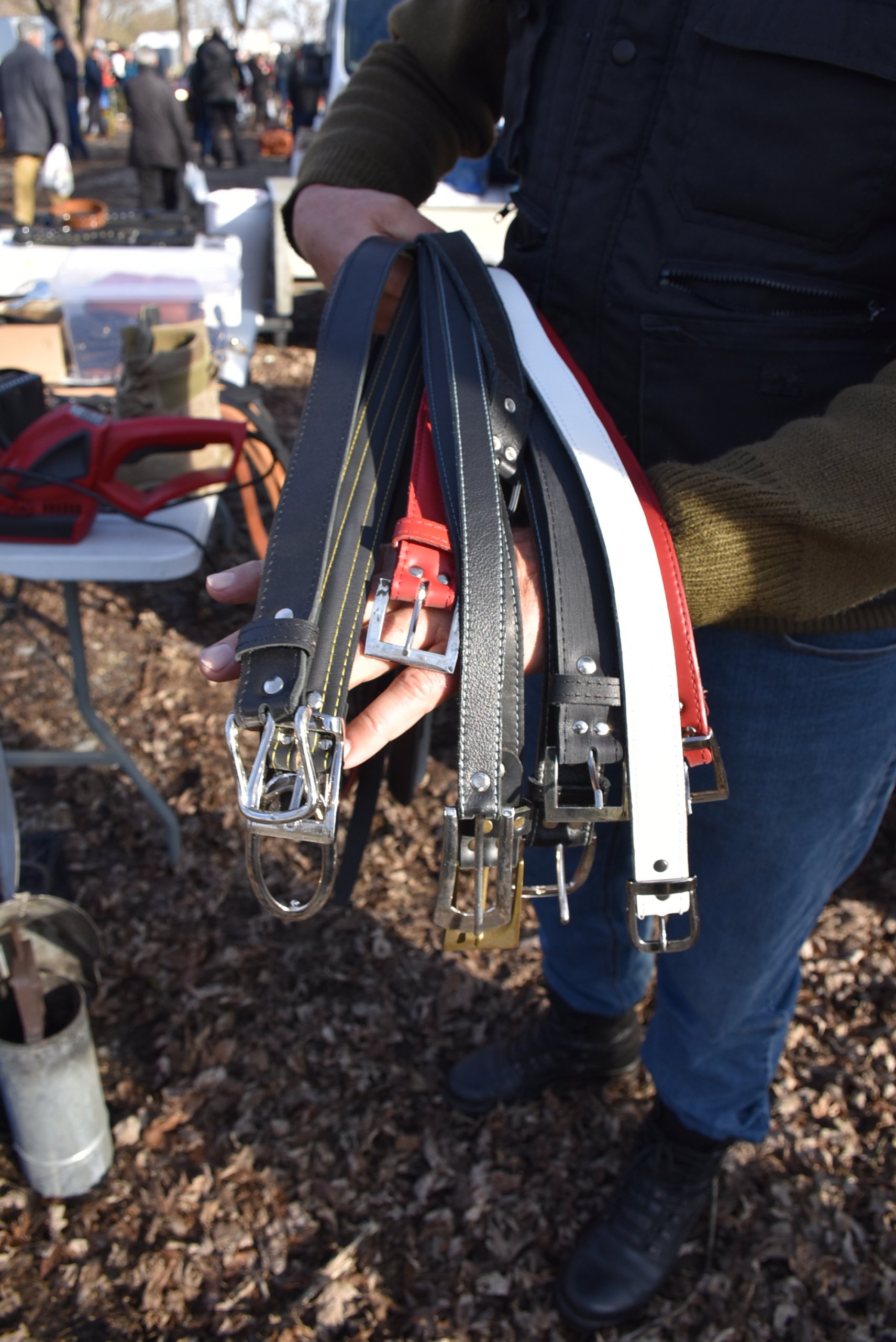 Ivan Dobranić, Novo Selo Rok (8)