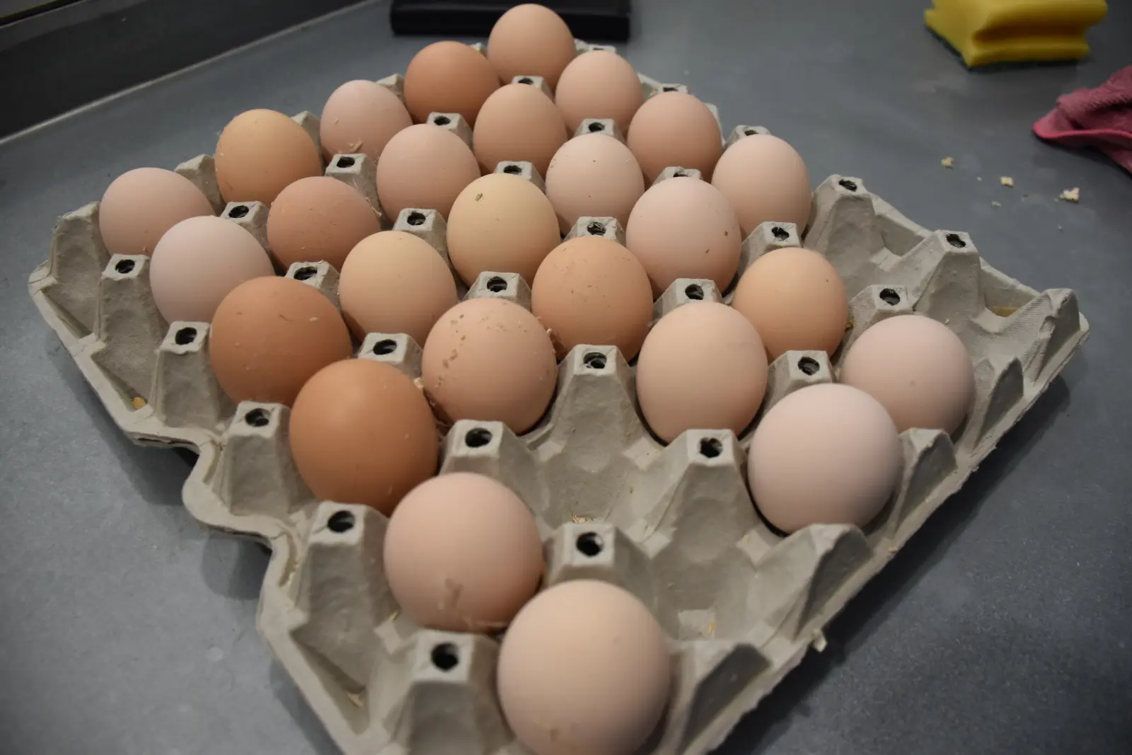 Ivan Fabić. Kotoriba, valionica (11)