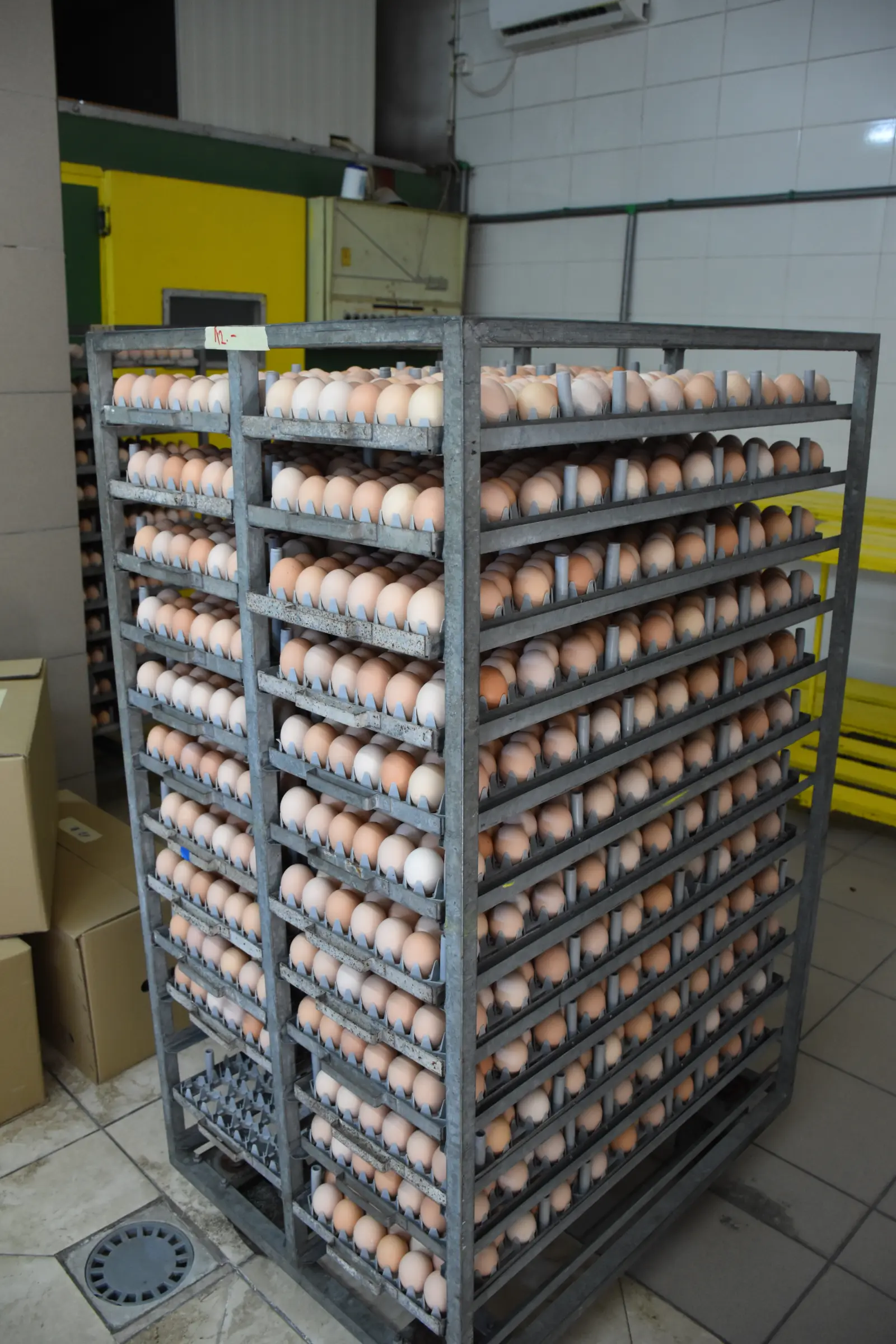 Ivan Fabić. Kotoriba, valionica (13)