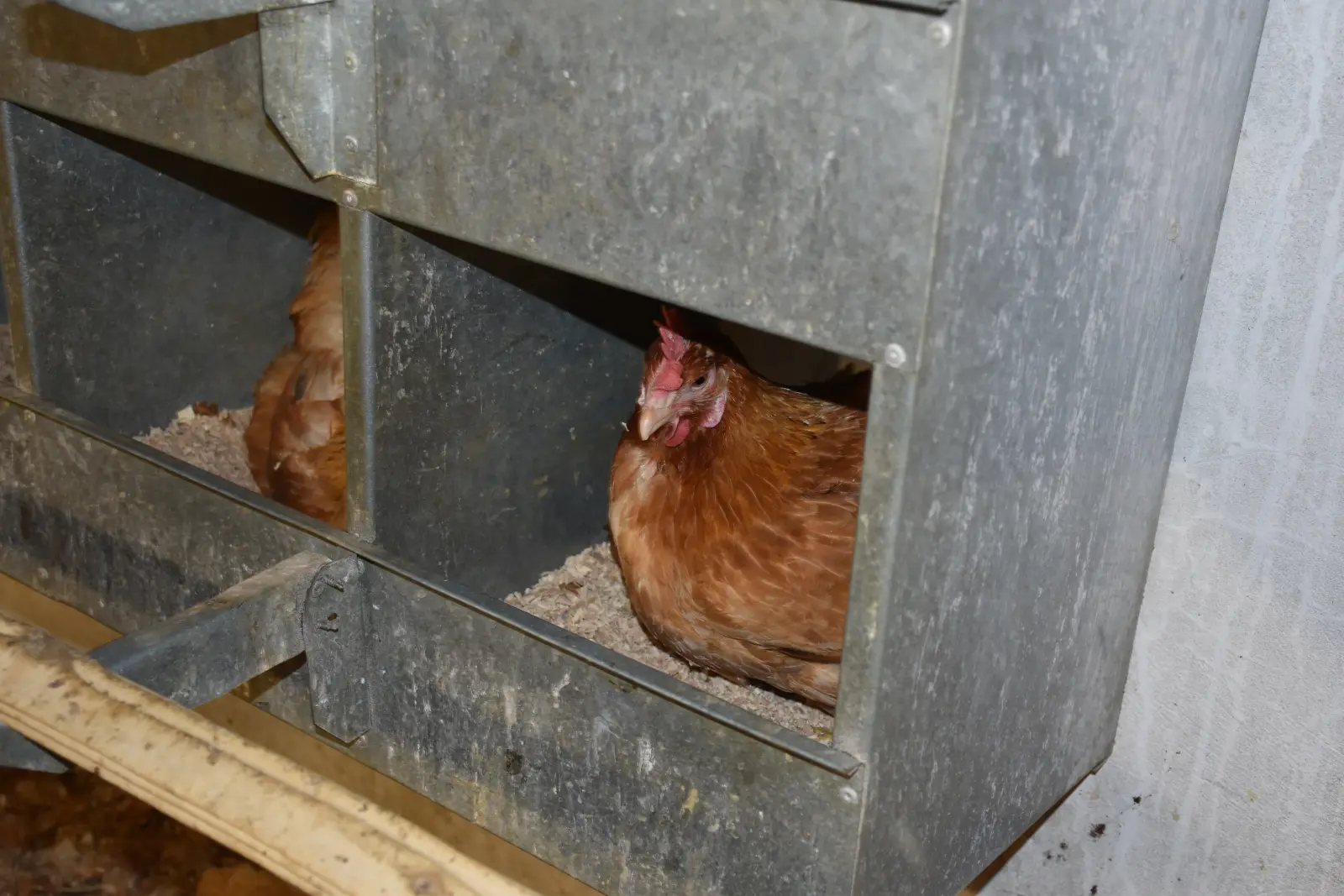 Ivan Fabić. Kotoriba, valionica (8)