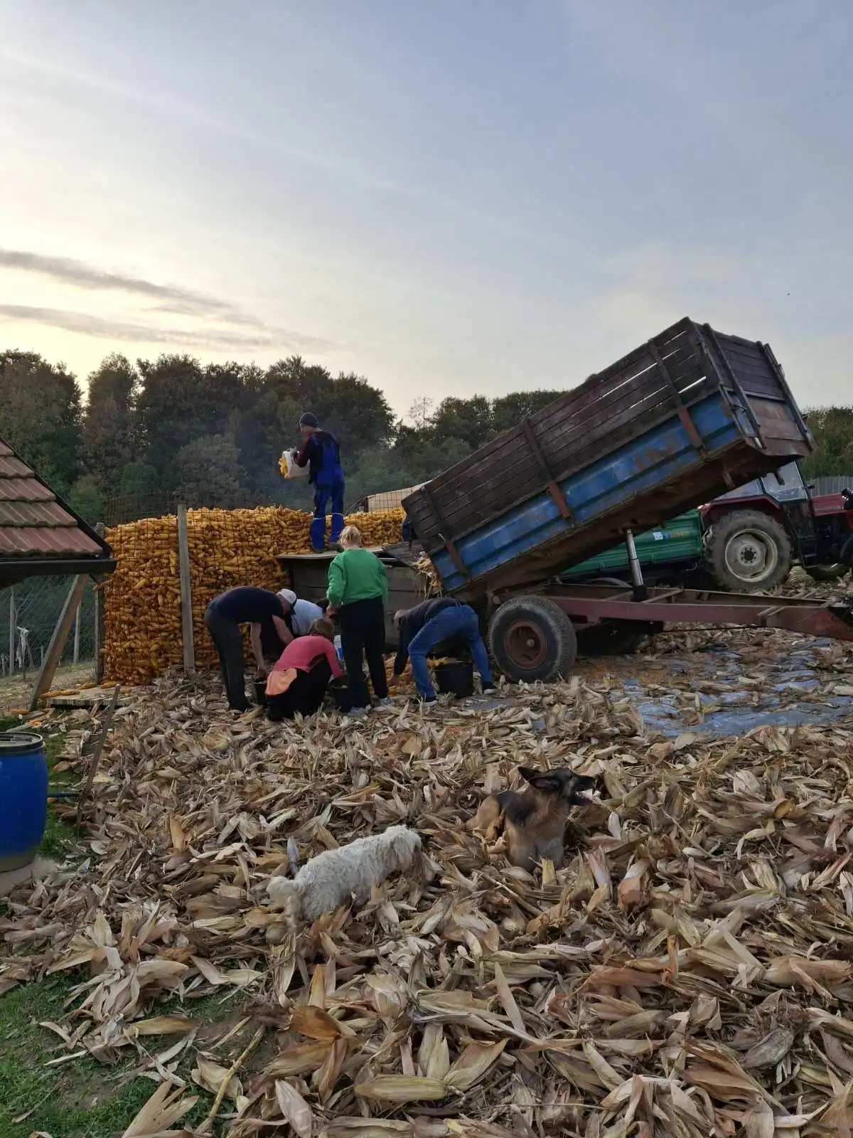 Ivana i Nenad Golenko – Robadje (5) Ivana i Nenad Golenko – Robadje (5)
