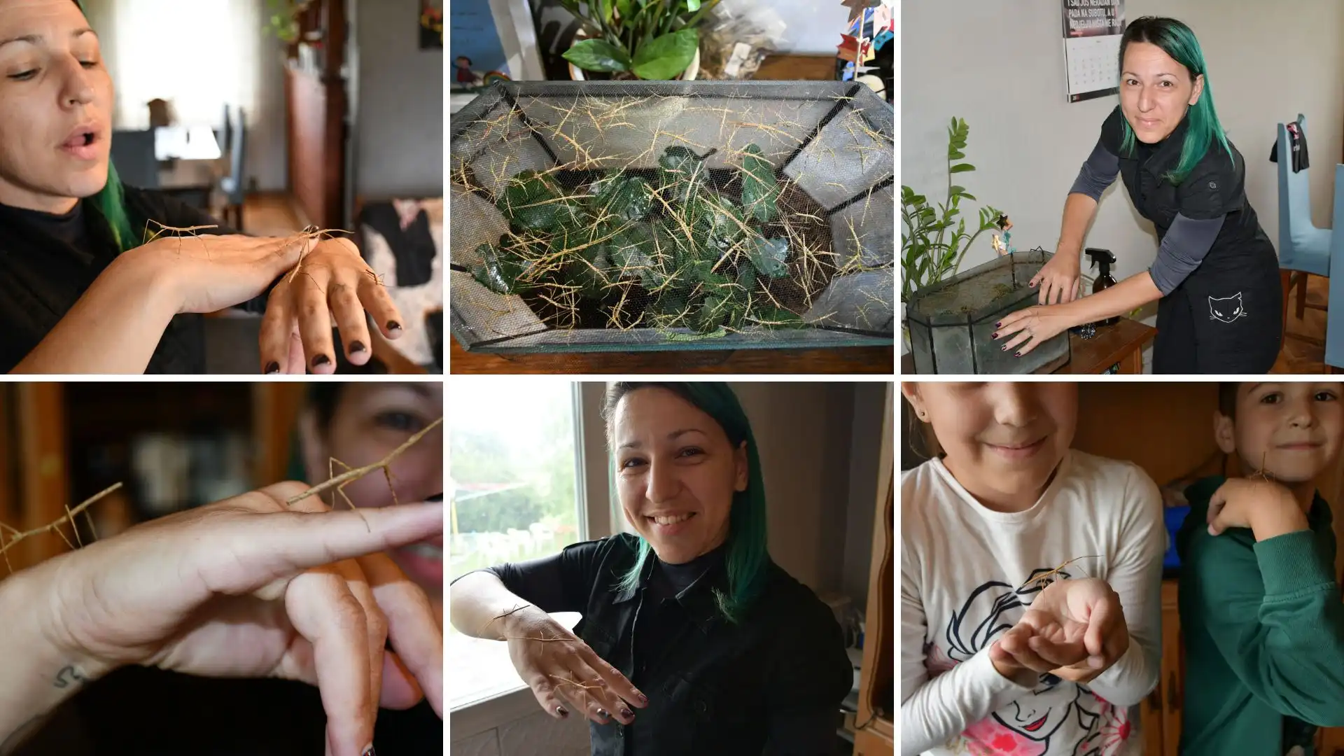 Ivanka Nađ – paličnja, paličnjaci (21)