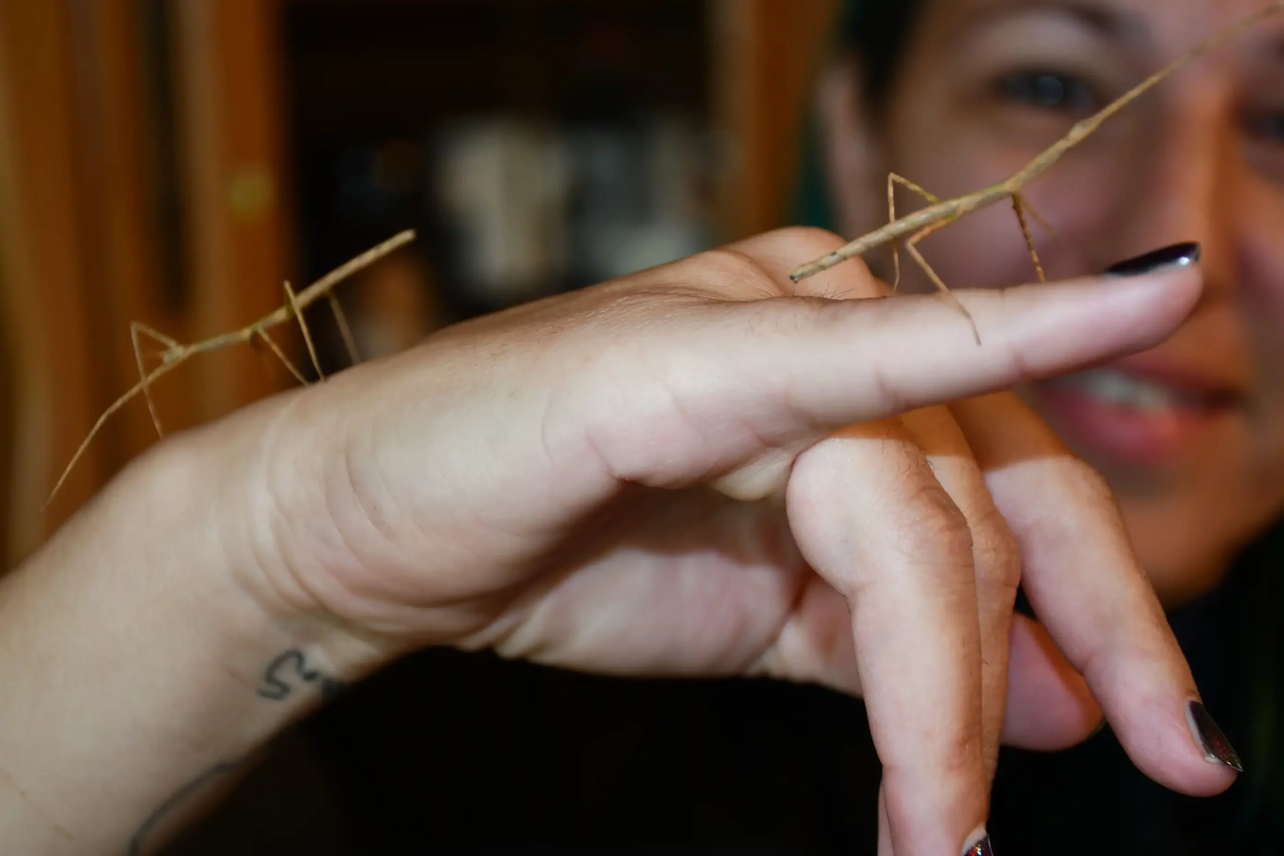 Ivanka Nađ – paličnja, paličnjaci (27)