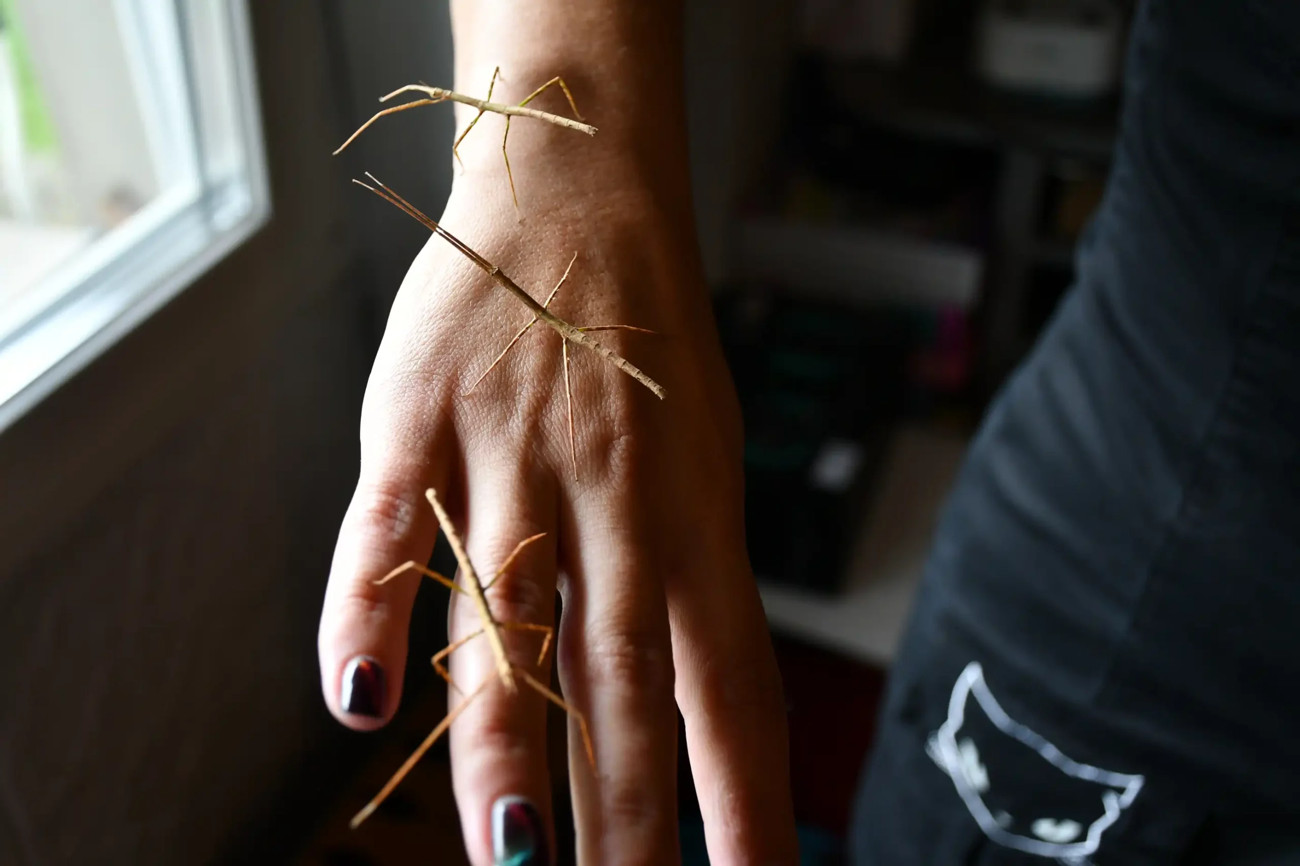 Ivanka Nađ – paličnja, paličnjaci (31)