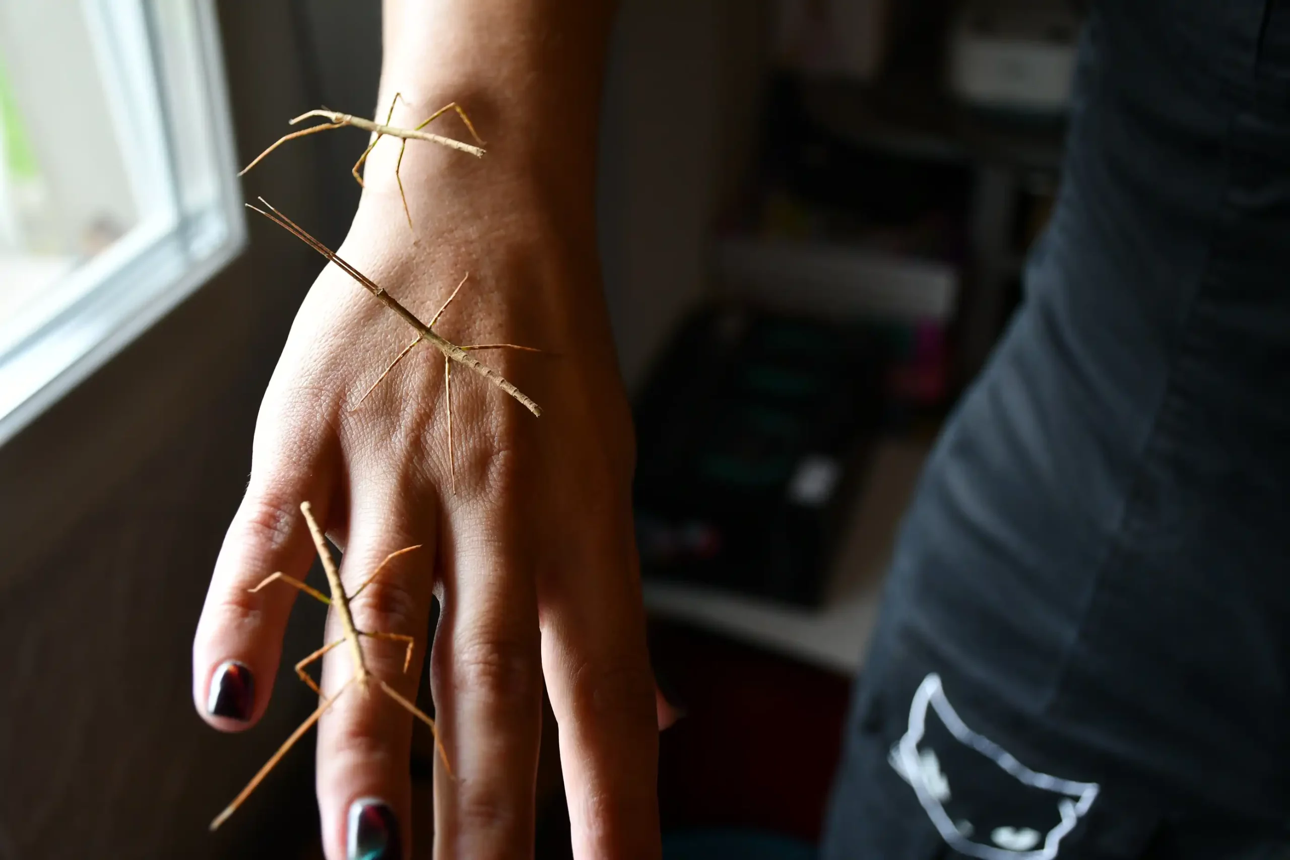 Ivanka Nađ – paličnja, paličnjaci (32)