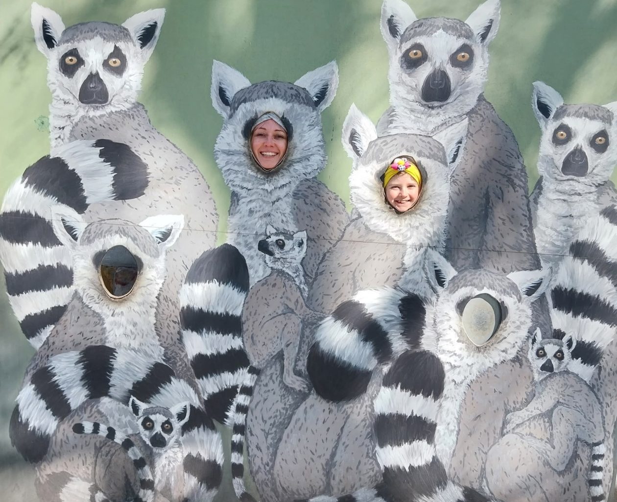 Ivona Debelec dijabetes (18)