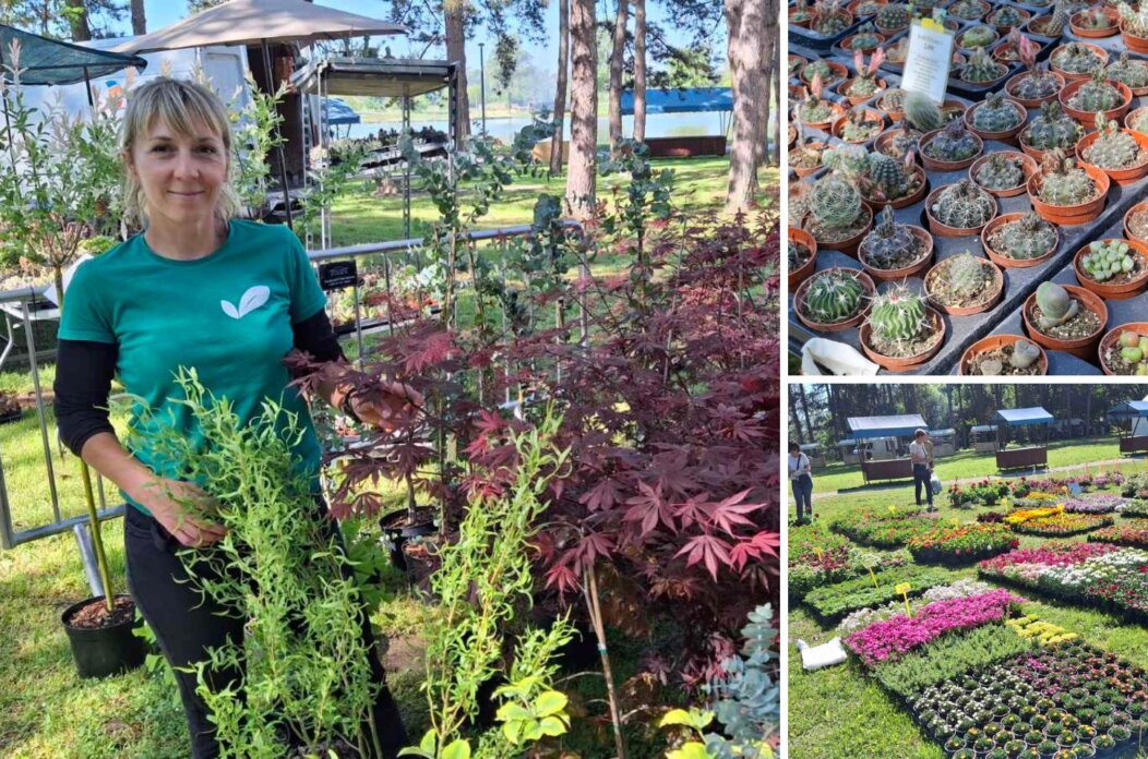 SAJAM CVIJEĆA LUDBREG SAJAM CVIJEĆA LUDBREG