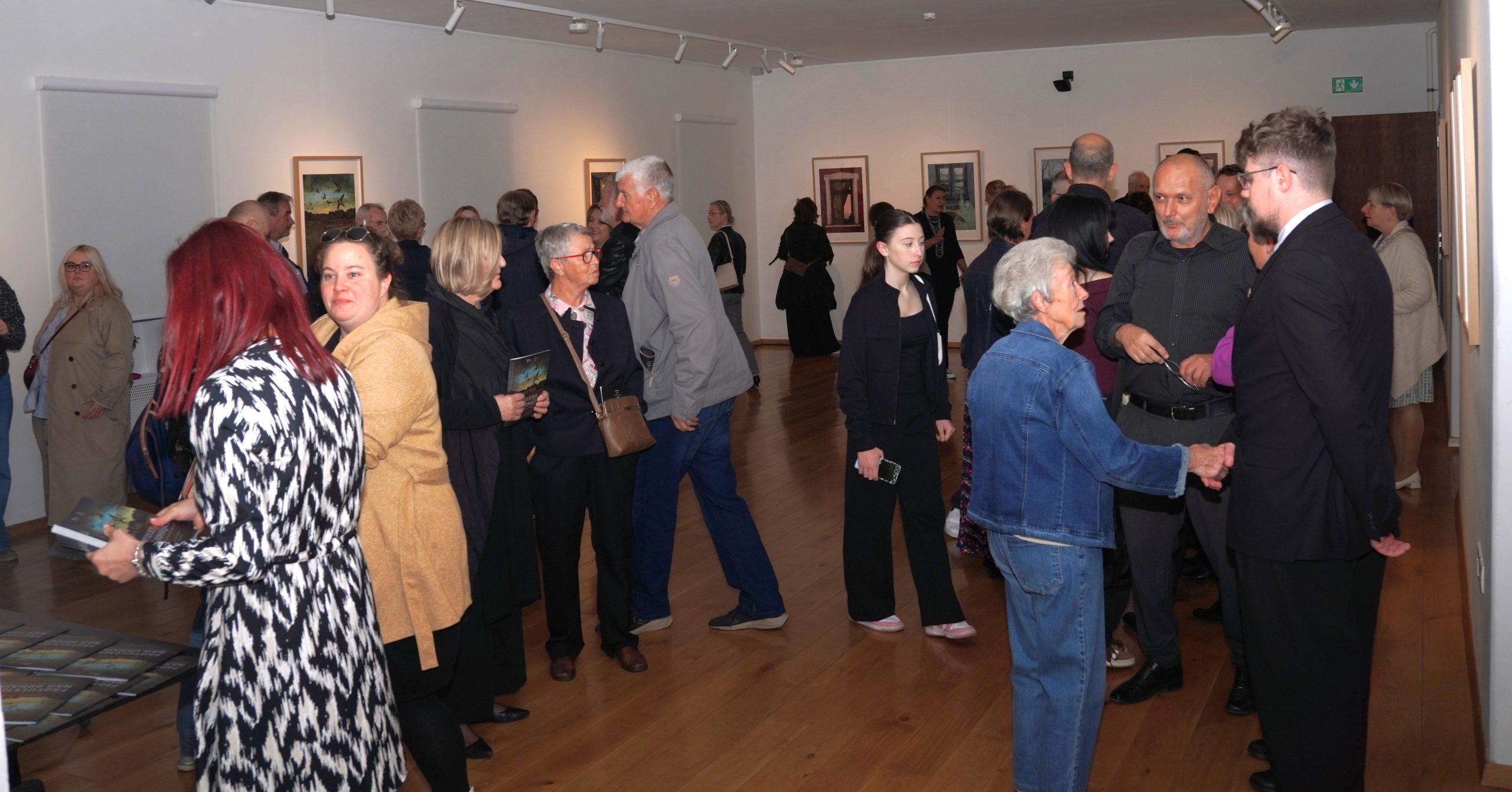 Izložba Lucije Šubić (1)