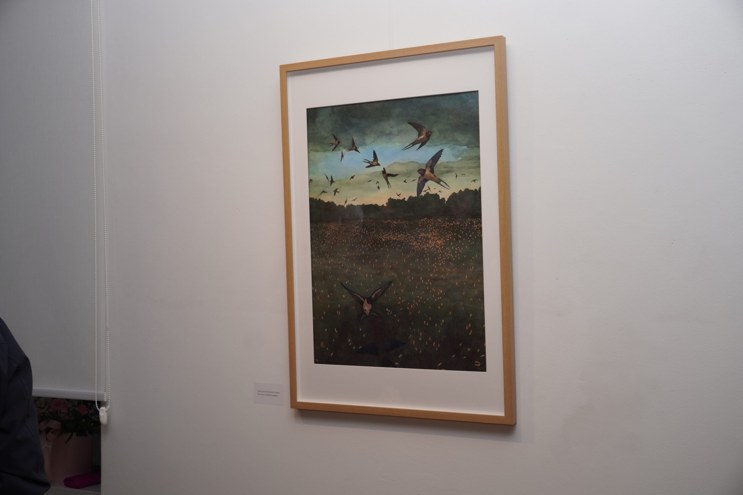 Izložba Lucije Šubić (5)