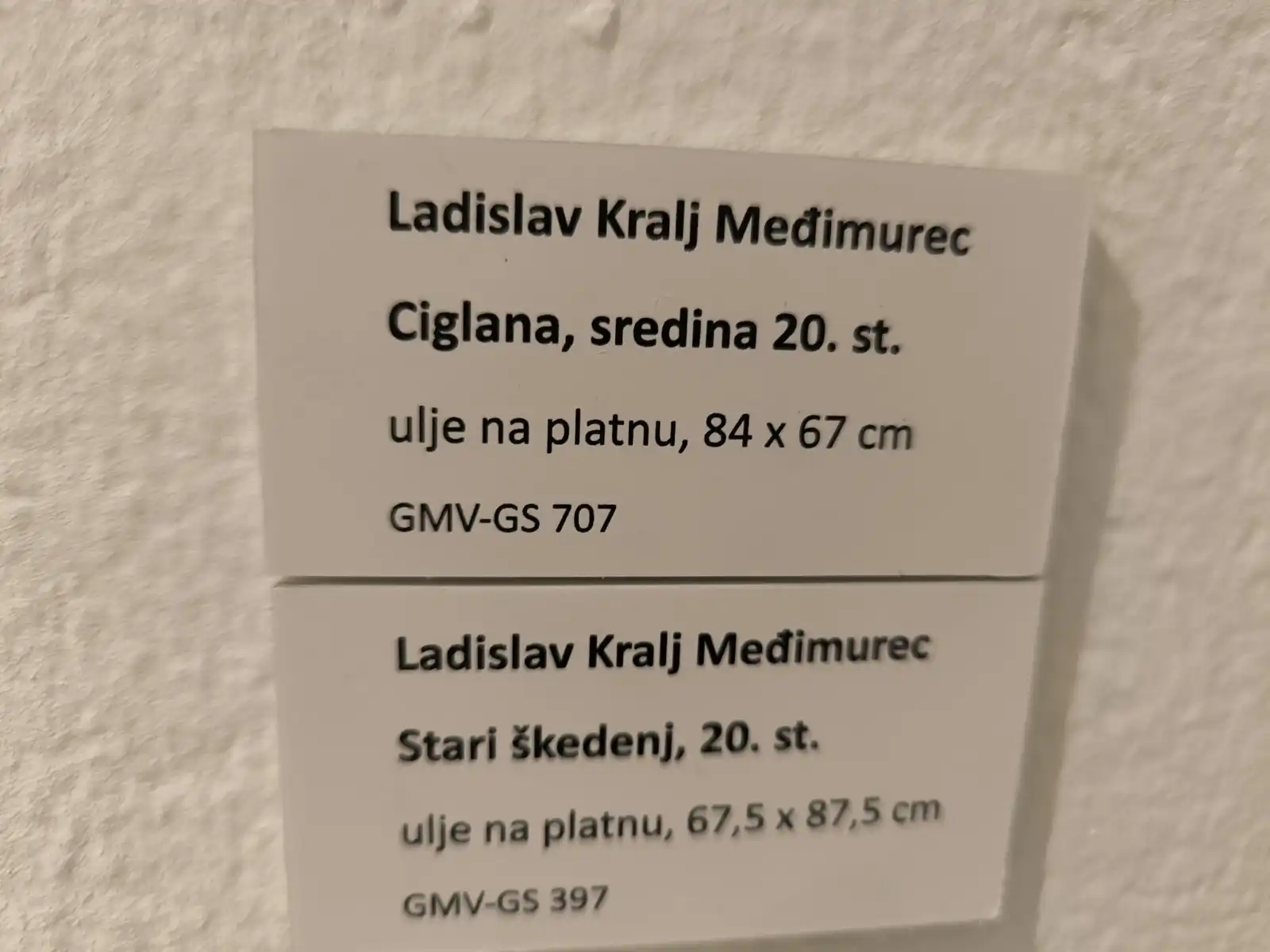 Izložba Veze preko Drave (17)