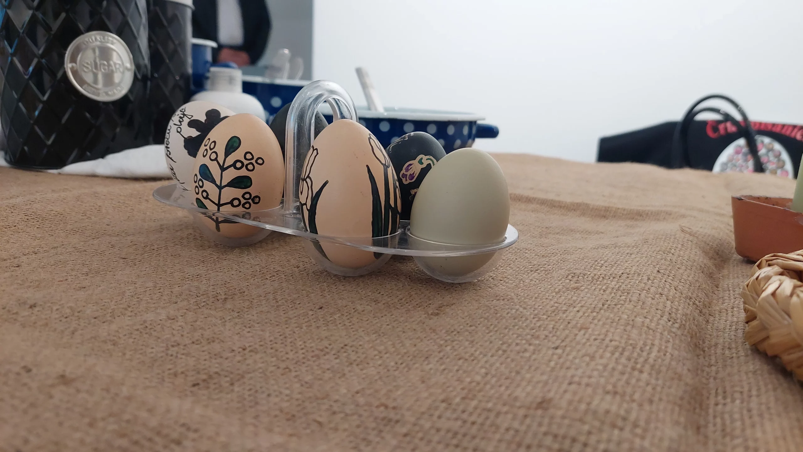 Izložba črna pisanica (4) Izložba črna pisanica (4)