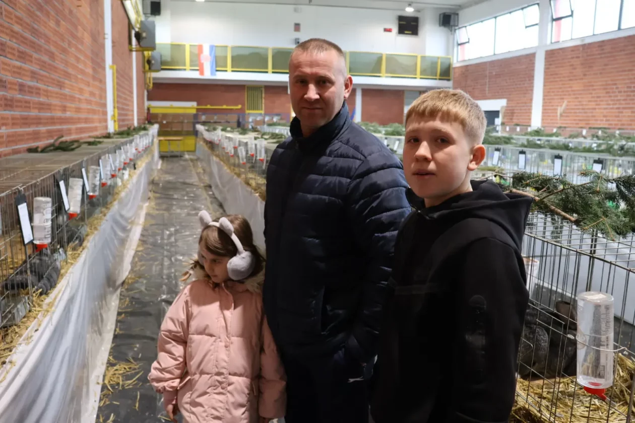 Izložba malih životinja, Donja Dubrava, Međimurska lastavica (18)