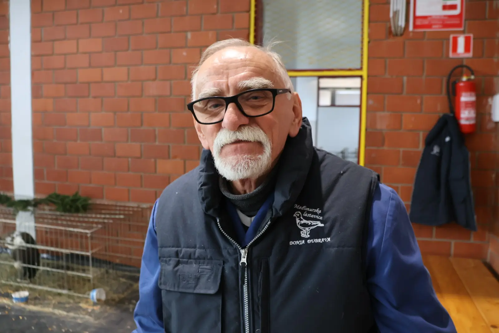 Izložba malih životinja, Donja Dubrava, Međimurska lastavica (7)