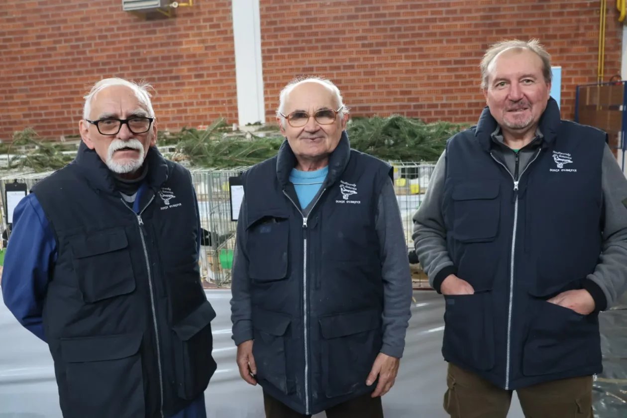 Izložba malih životinja, Donja Dubrava, Međimurska lastavica (8)